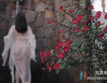 玩偶姐姐（HongKongDoll）的最新动态：《晨钟暮鼓贰》预告发布