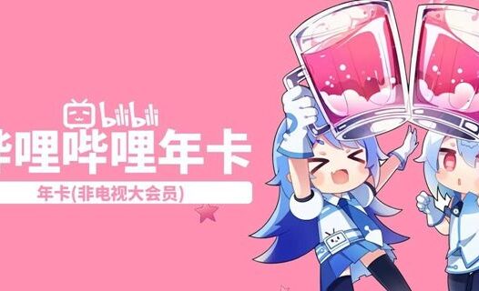 年度历史最低!哔哩哔哩 B站 年度大会员 VIP 12个月88元。