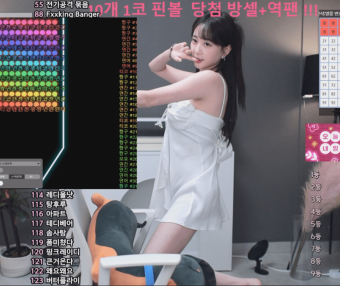 韩国 AfreecaTV 美女主播 BJ世雅（BJ은지）2024年11月直播热舞视频合集下载【43V/3.8G】