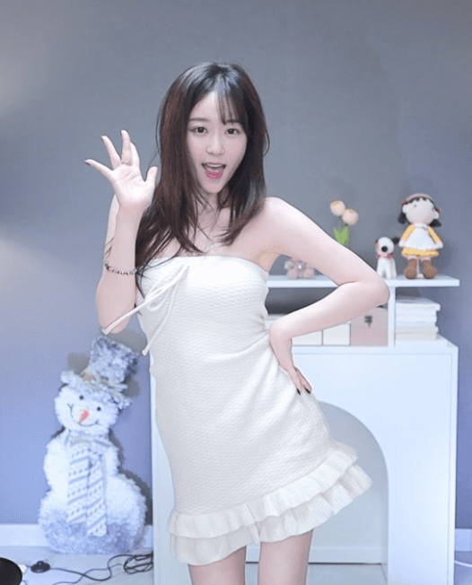韩国 Sooplive（AfreecaTV）美女主播 BJ世雅（BJ은지）2024年12月直播热舞视频合集下载【47V/3.7G】