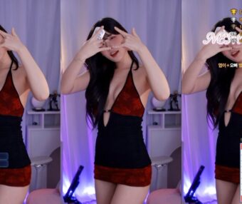 韩国 Sooplive（AfreecaTV）美女主播 BJ麋鹿（BJ고라니율）2025年8月热舞视频合集下载【67V/8.8G】