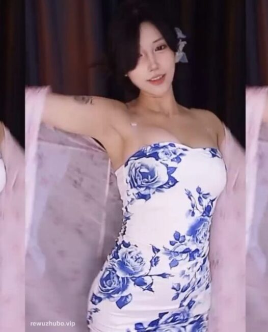 哔哩哔哩（bilibili）热舞主播 小小徐hee（潇洒哥hee）精选热舞视频合集下载（4）【8V/2.5G】