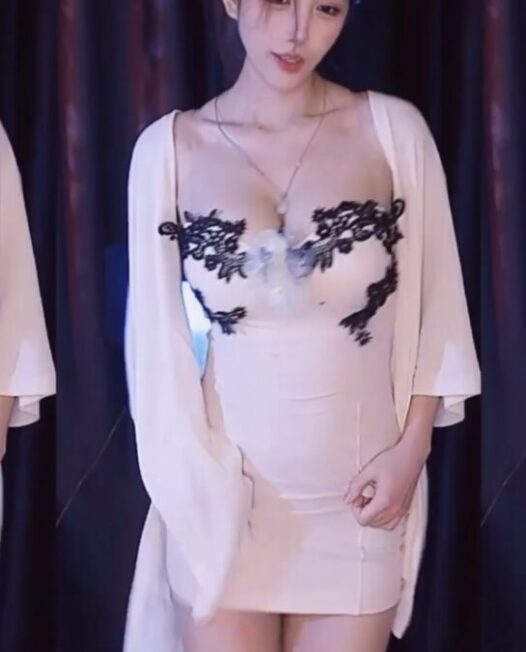 哔哩哔哩（bilibili）热舞主播 小小徐hee（潇洒哥hee）精选热舞视频合集下载（5）【8V/2.3G】